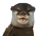 OtterWaffen