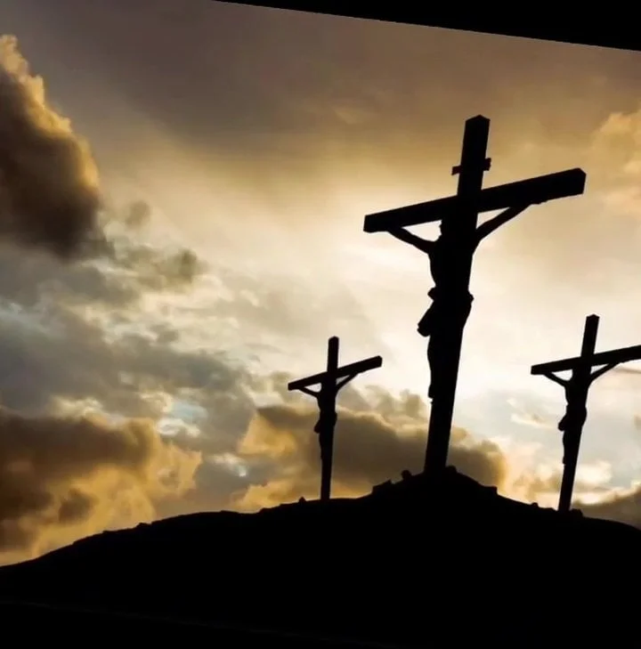 The Purpose of the Gospel