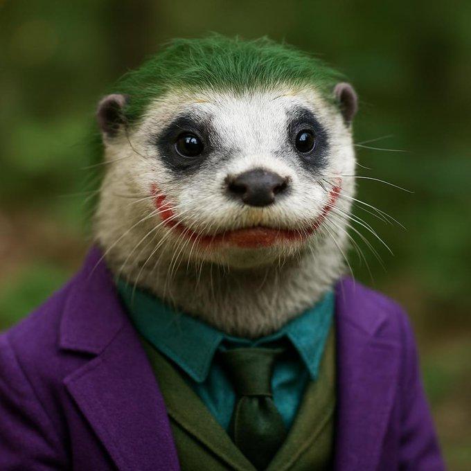 Stream Content