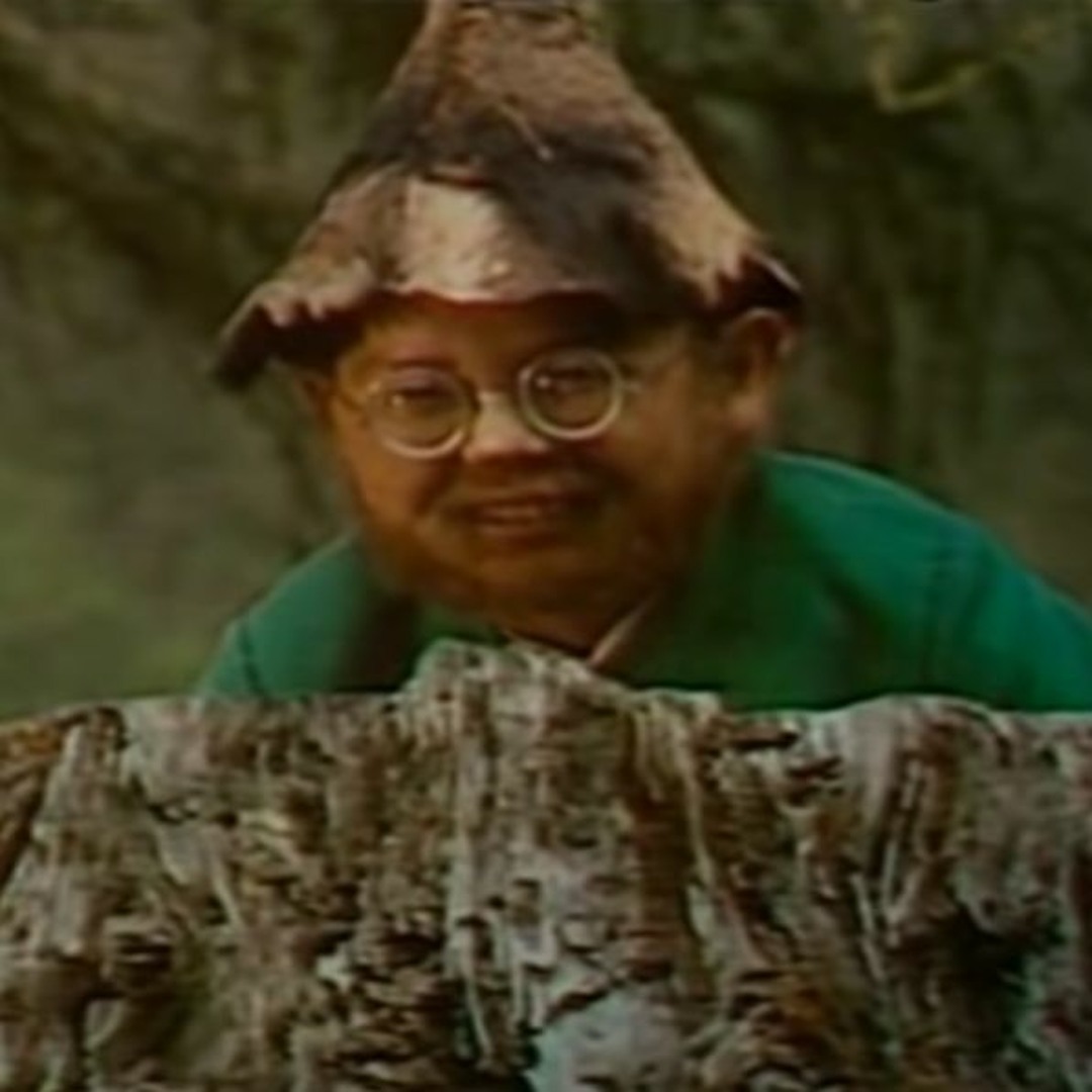 Stream Content