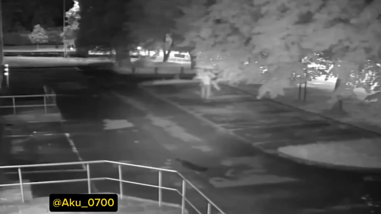 Indian Predator Carries Helpless Young Woman Through Cardiff Streets, Then RAPES Her