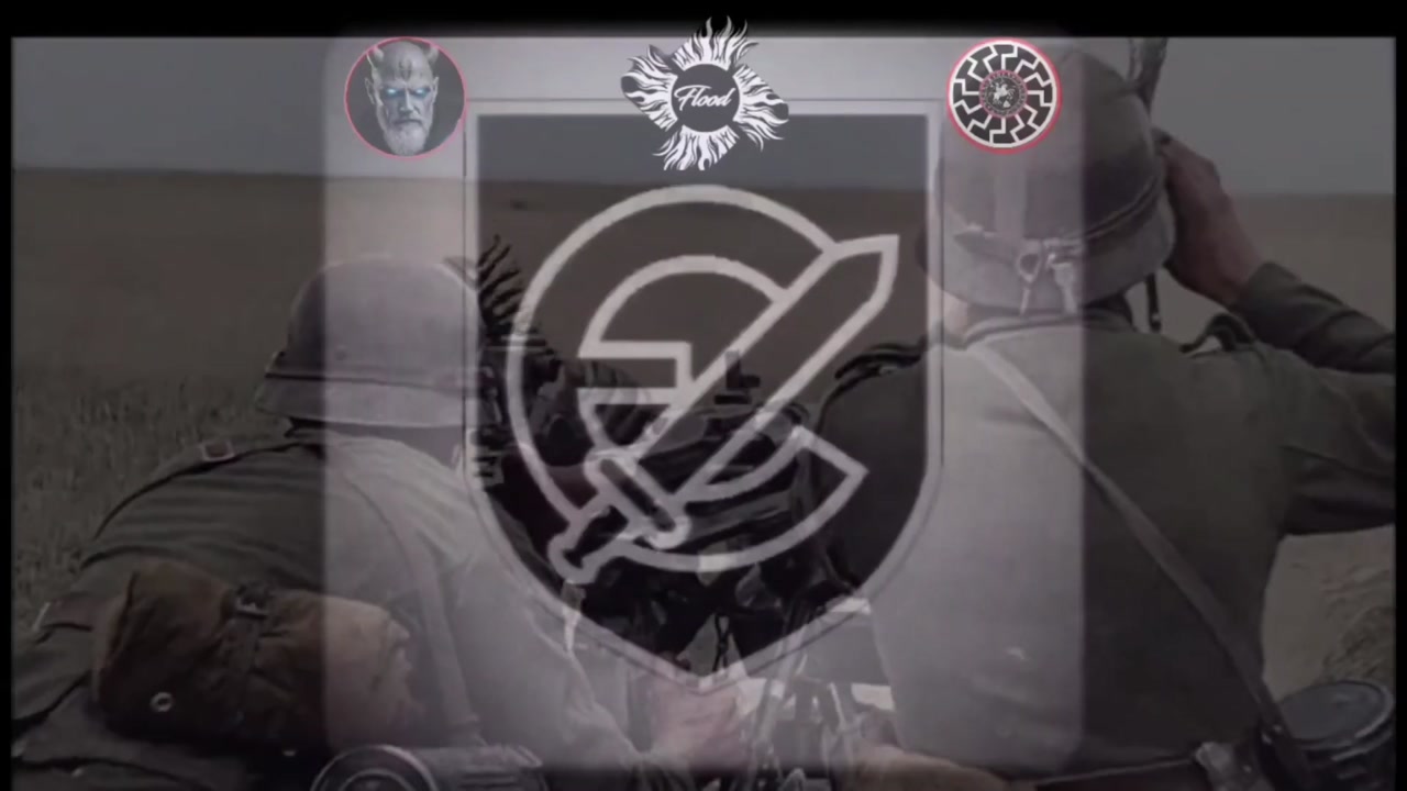 History Of Violence King Saltine