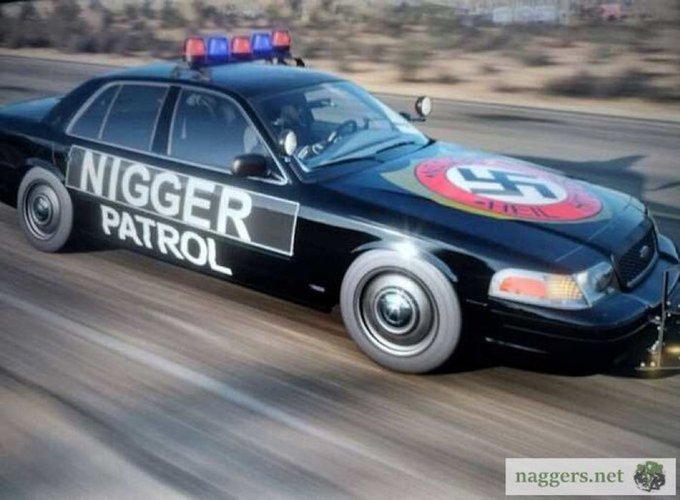 Stream Content